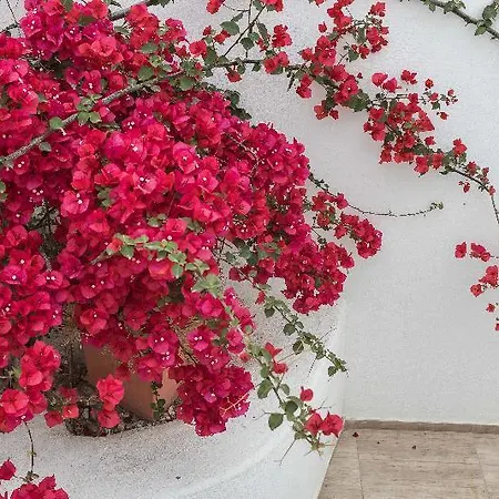 Depis Luxury Апартаменты