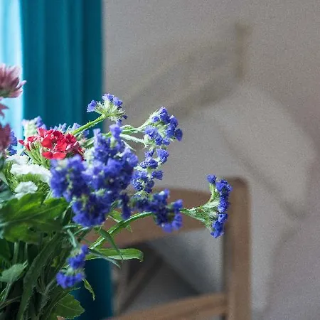 Depis Luxury 公寓 Naxos City